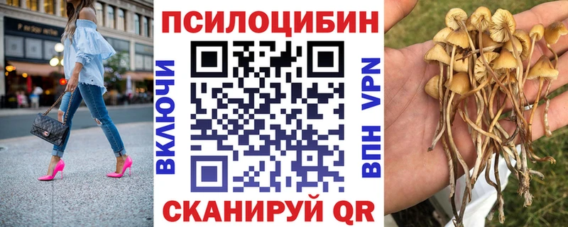 Купить  Северская  Галлюциногенные грибы мухоморы 